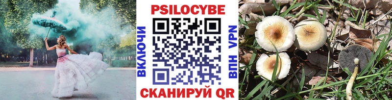 Псилоцибиновые грибы Psilocybe  как найти наркотики  Бикин 